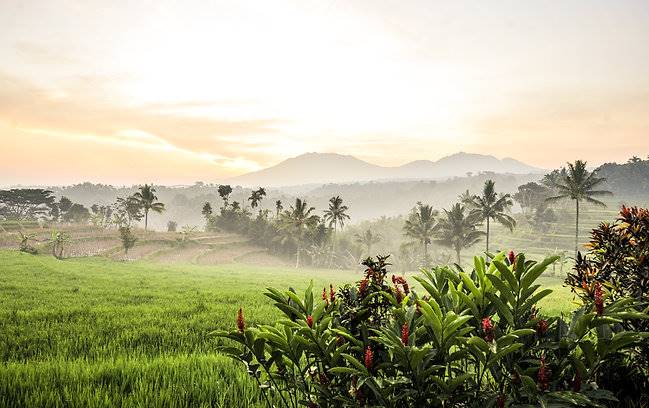 Ijen Resort and Villas en Java Oriental - Ijen