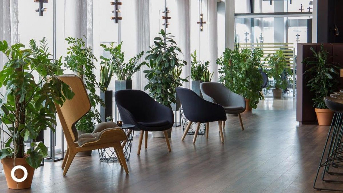 Center Hotel Midgardur en Islandia