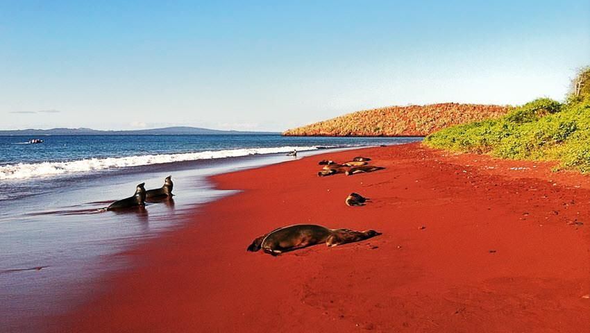 Islas Galapagos | LAT.40