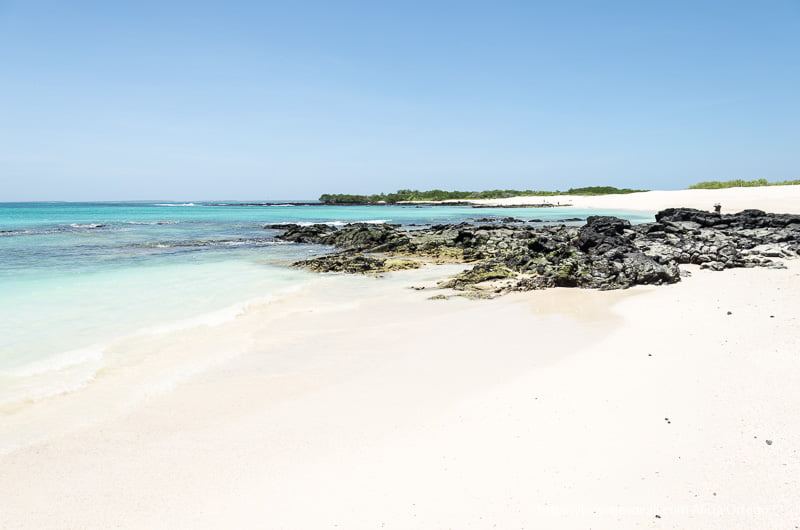 Islas Galapagos | LAT.40