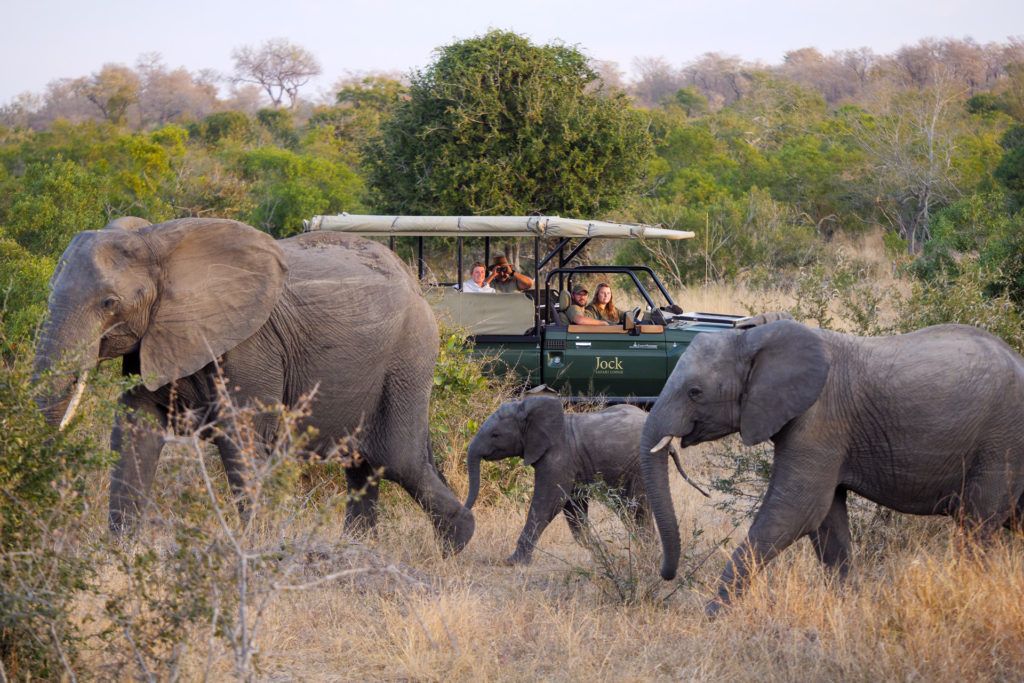 Jock Safari Lodge en Kruger National Park