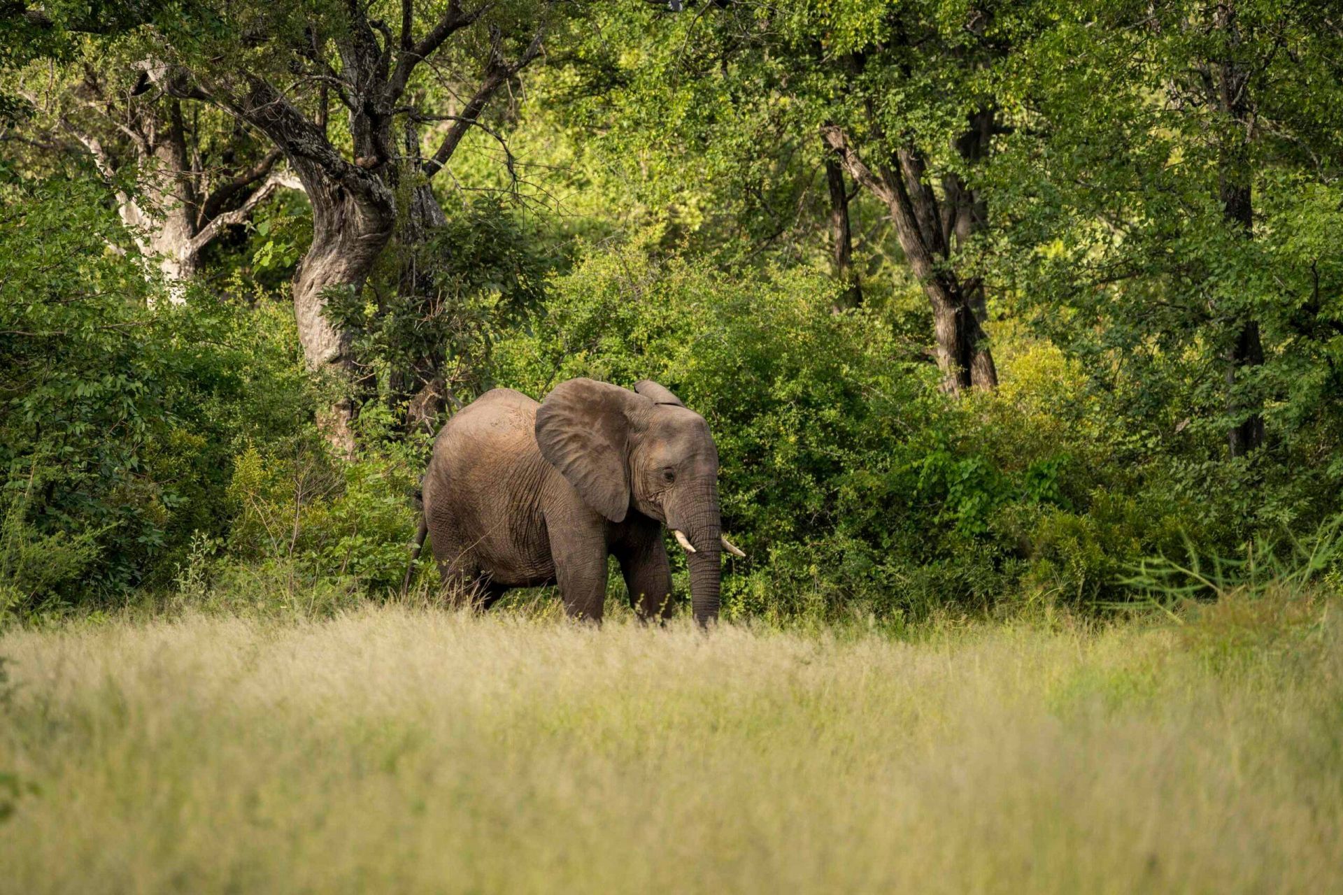 The Outpost Lodge en Kruger National Park