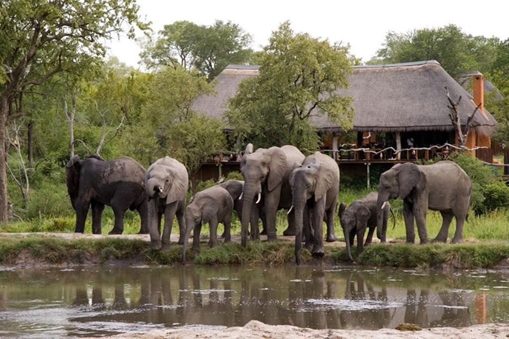 Safari Kruger y Ciudad del Cabo diseñado por LAT.40
