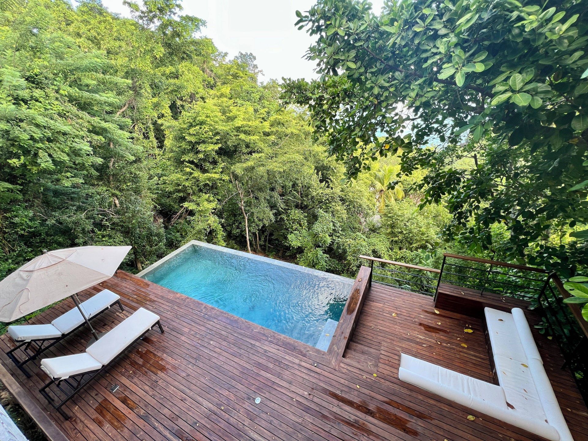 Ocama en Las Galeras