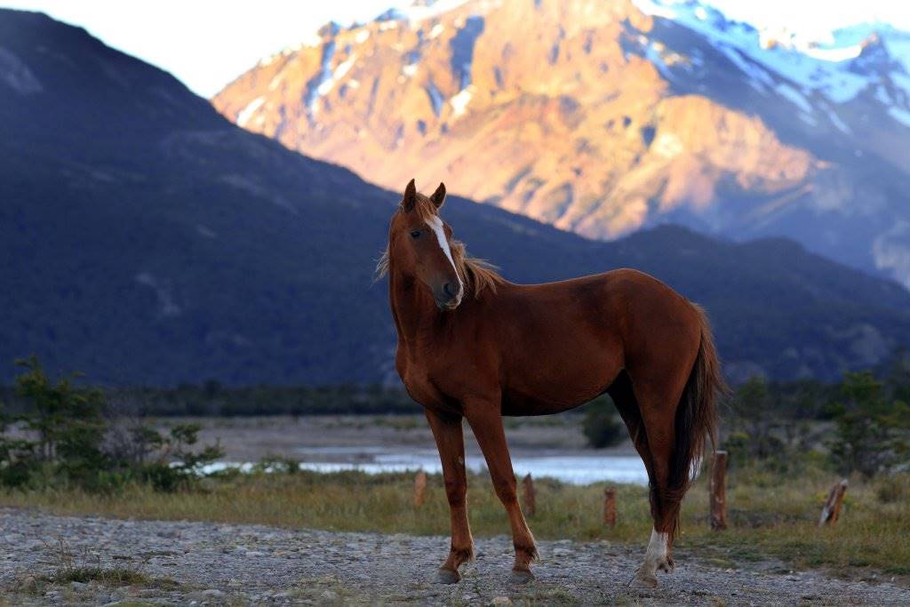 Los Cerros del Chalten Boutique Hotel en El Chalten