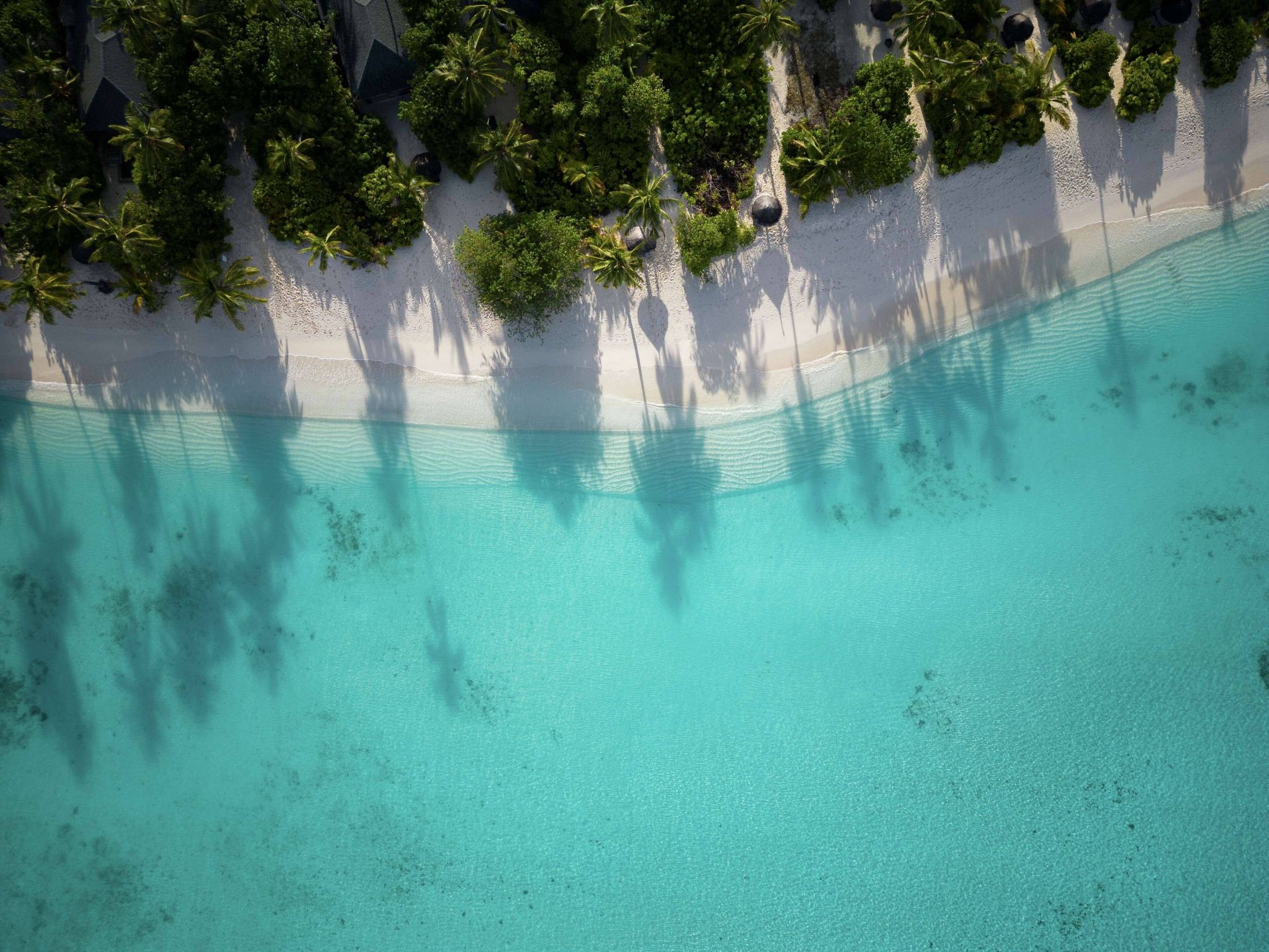 NH Collection Maldives Havodda Resort en Gaafu Dhaalu Atoll