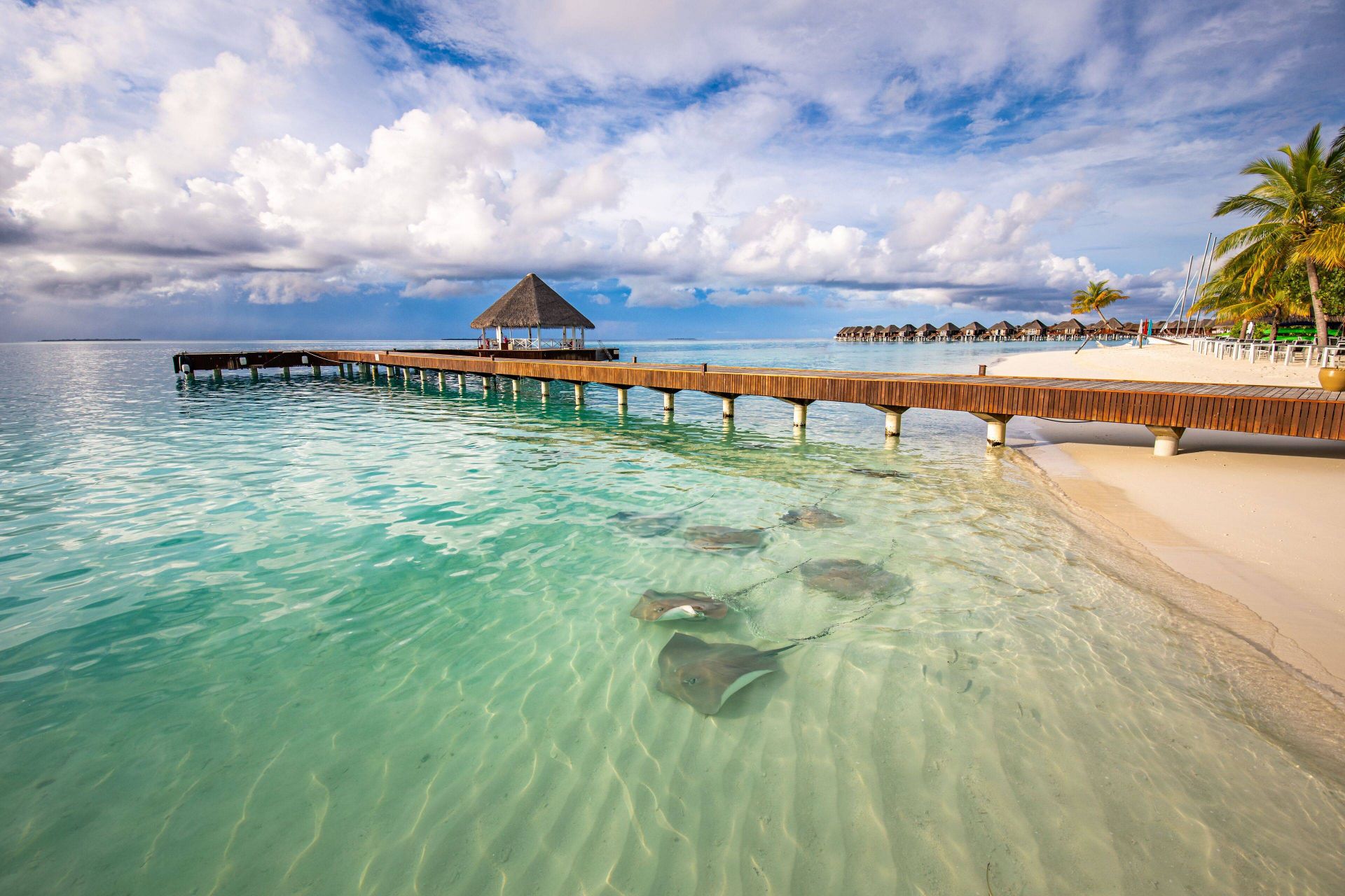 Sun Siyam Vilu Reef en Dhaalu Atoll