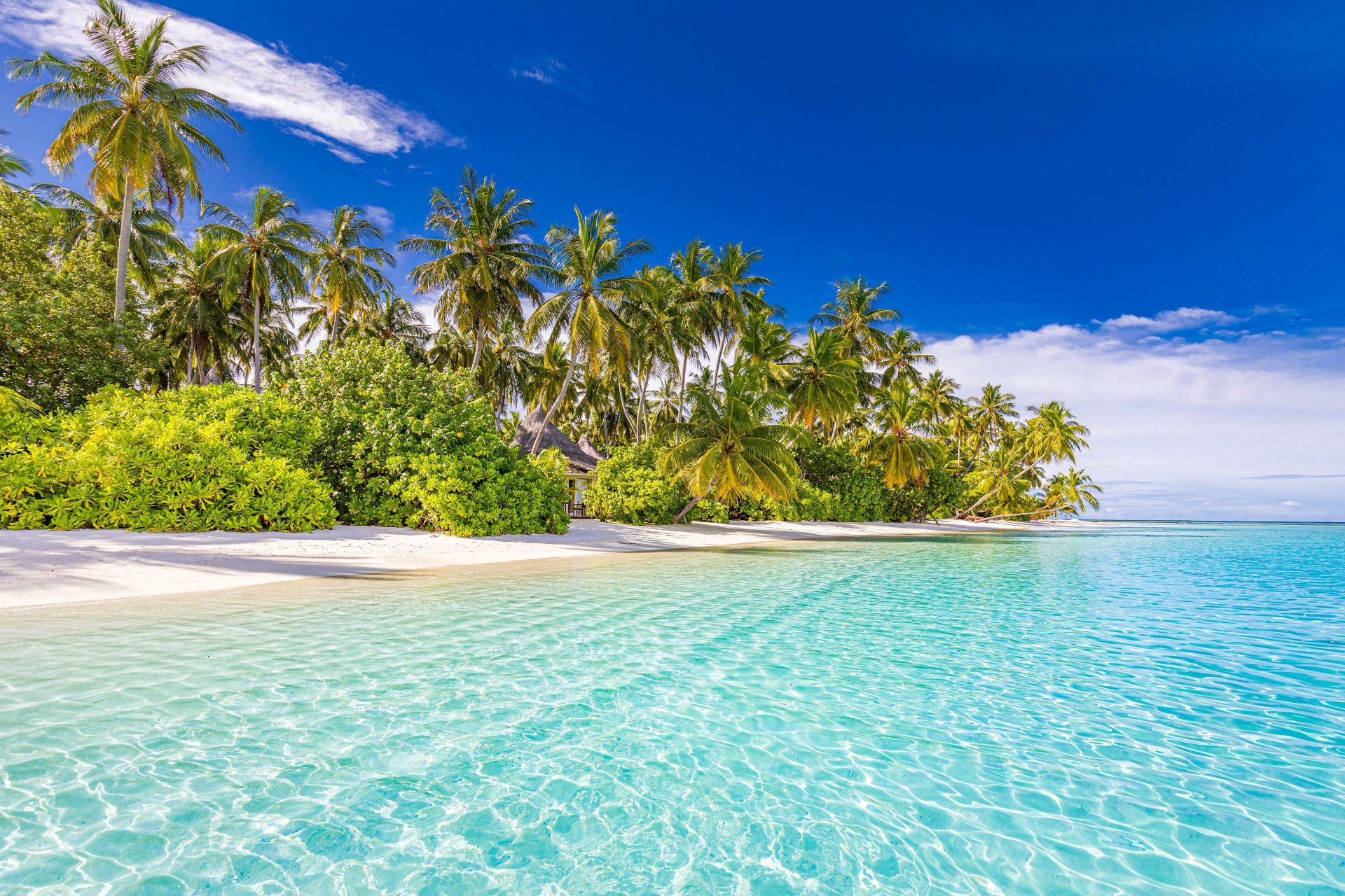 Sun Siyam Vilu Reef en Dhaalu Atoll