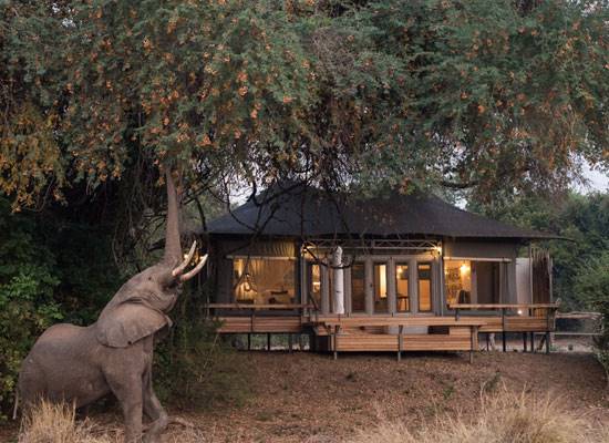 Mana Pools