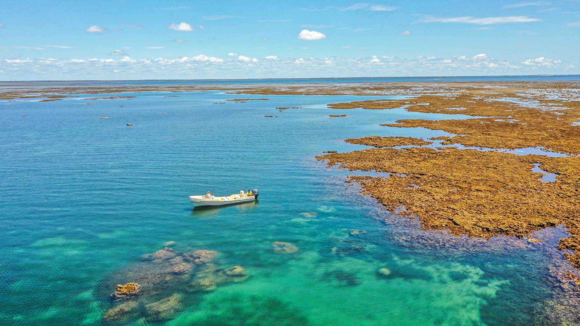 Manda Bay Hotel en Lamu