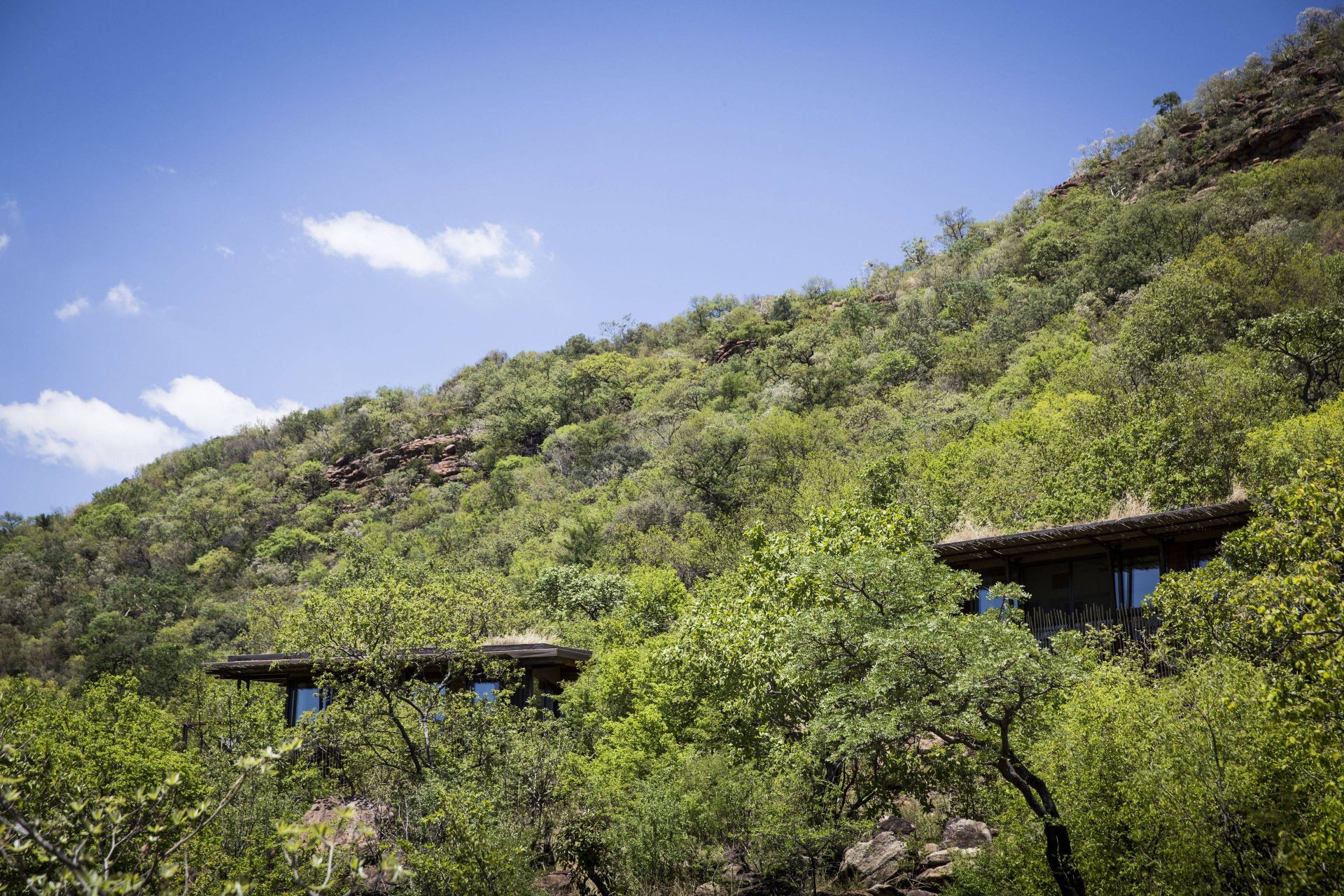 Marataba Mountain Lodge en Marakele