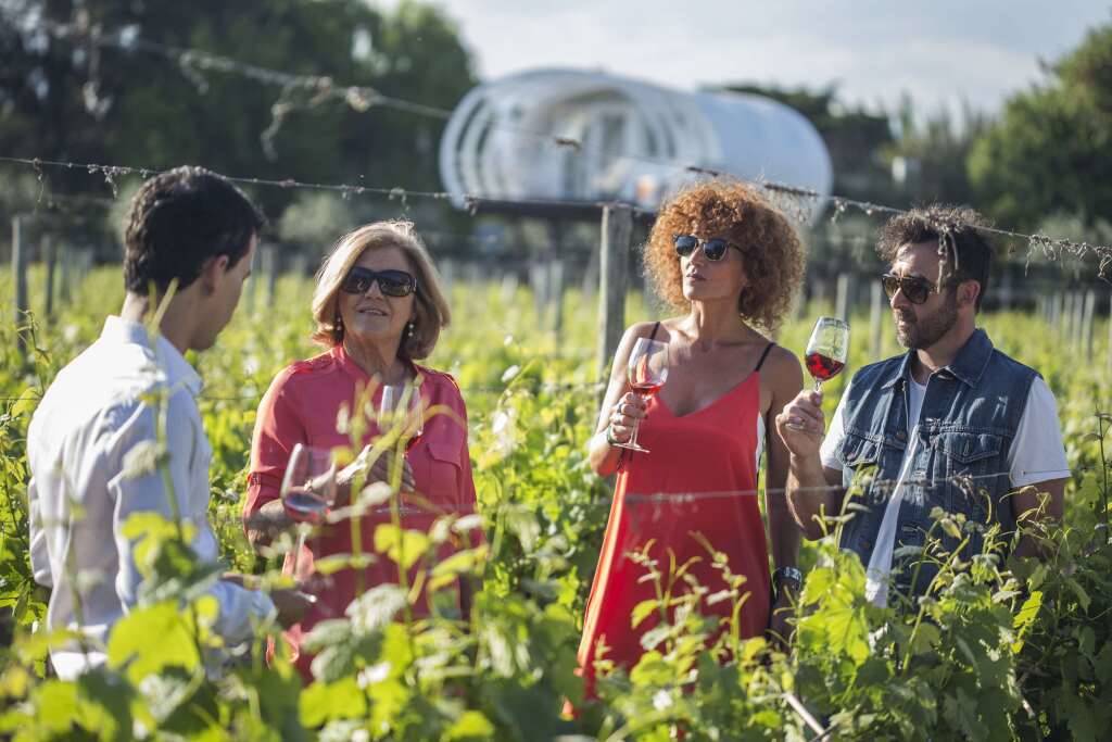  Entre Cielos Wine & Wellness  en Argentina