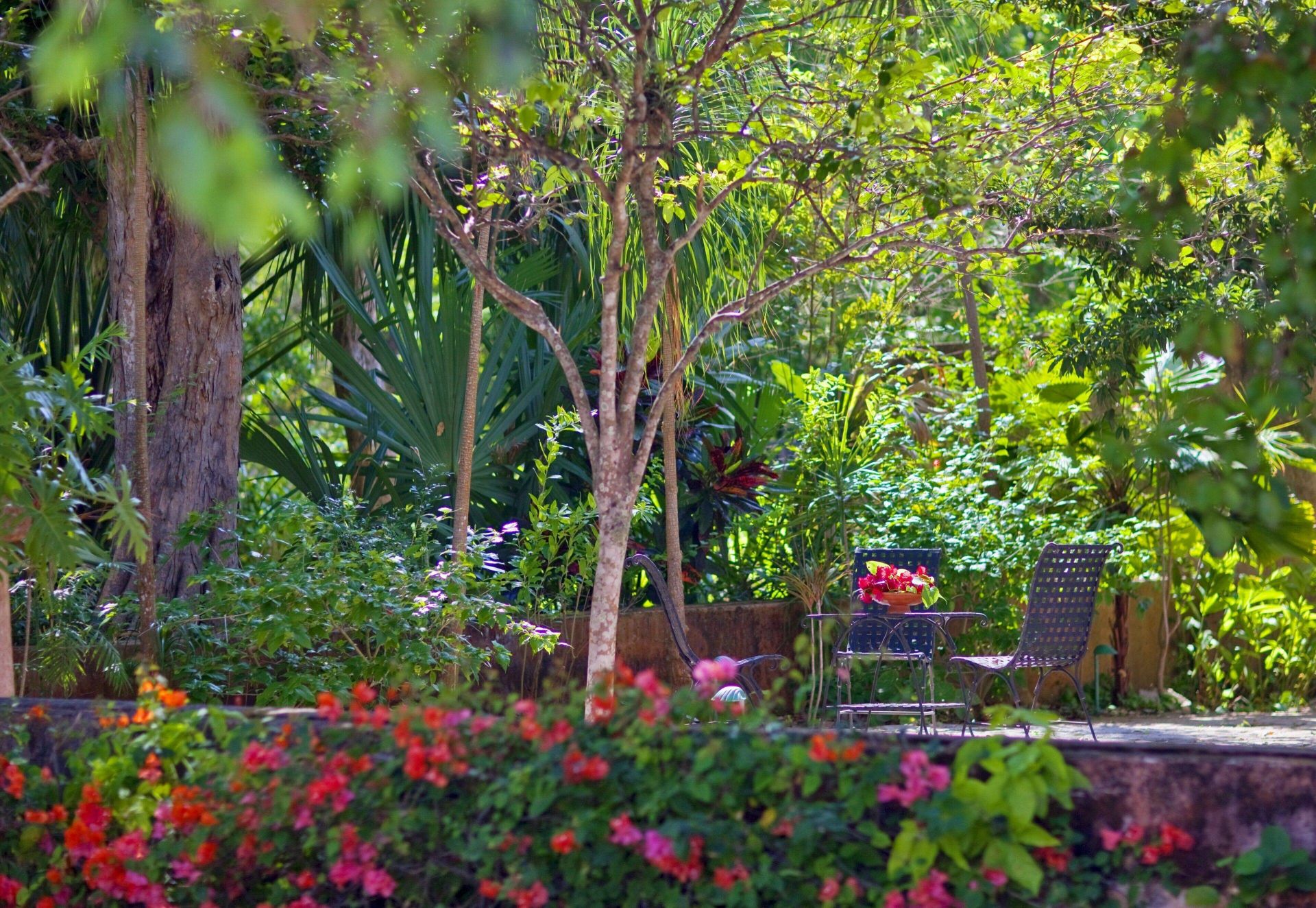 Hacienda Santa Rosa en Merida