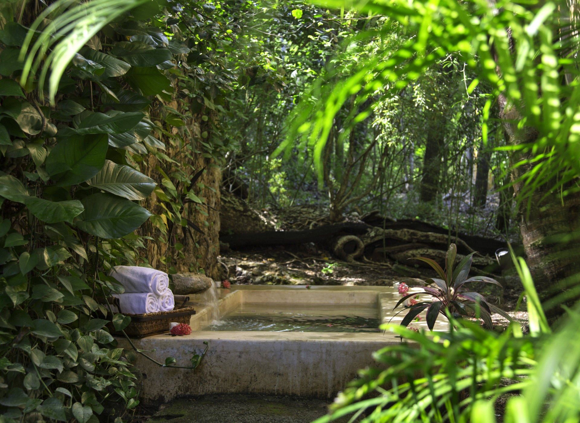 Hacienda Santa Rosa en Merida