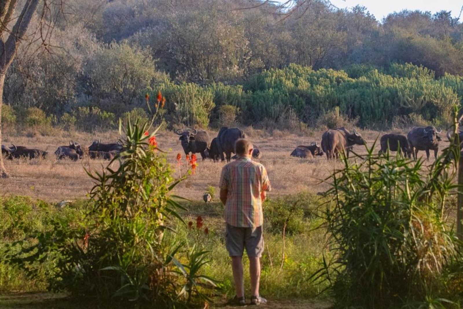 Chui Lodge  en Naivasha