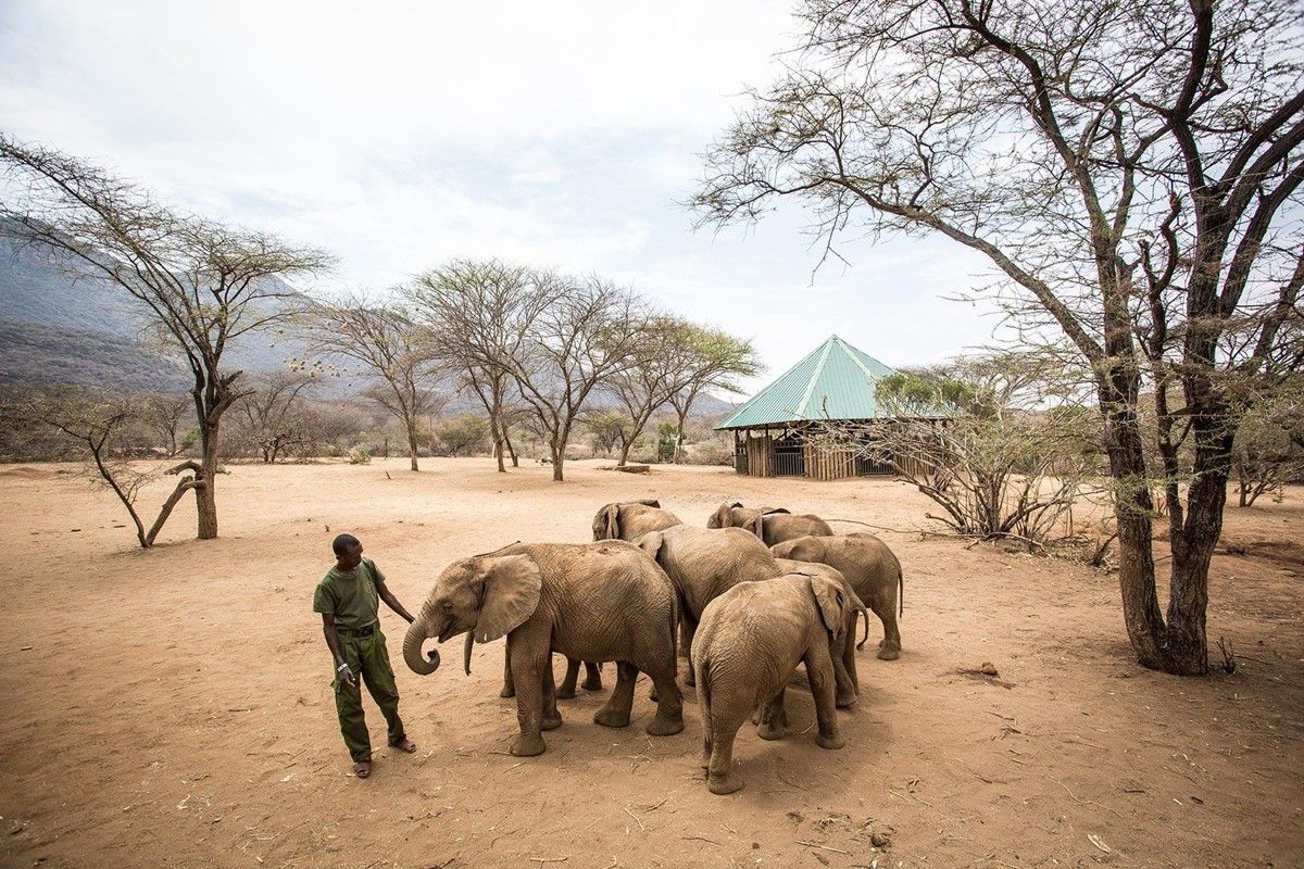 Saruni Rhino en Namunyak Wildlife Conservancy