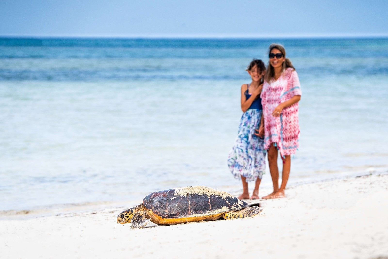 Waldorf Astoria Seychelles  en platte island