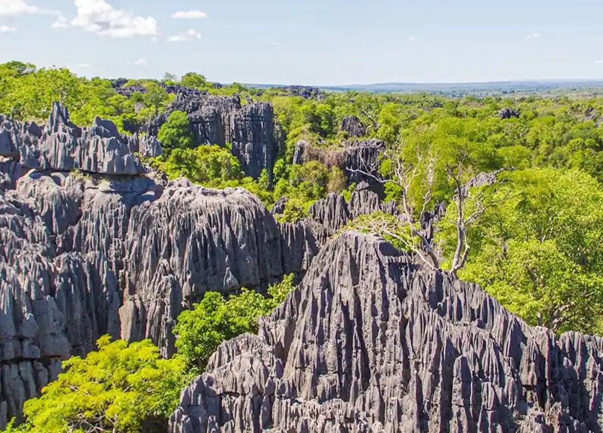 Madagascar | LAT.40