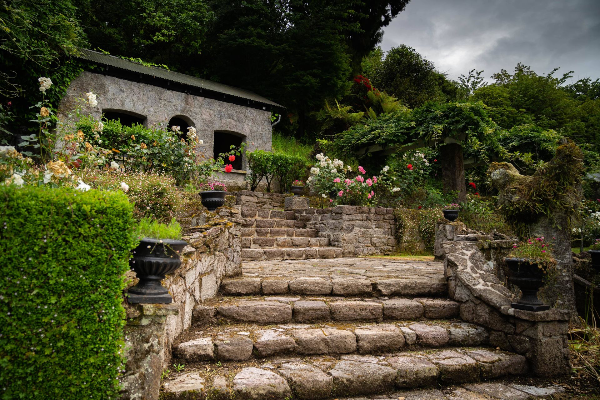Black Swan Lakeside Boutique Hotel en Rotorua