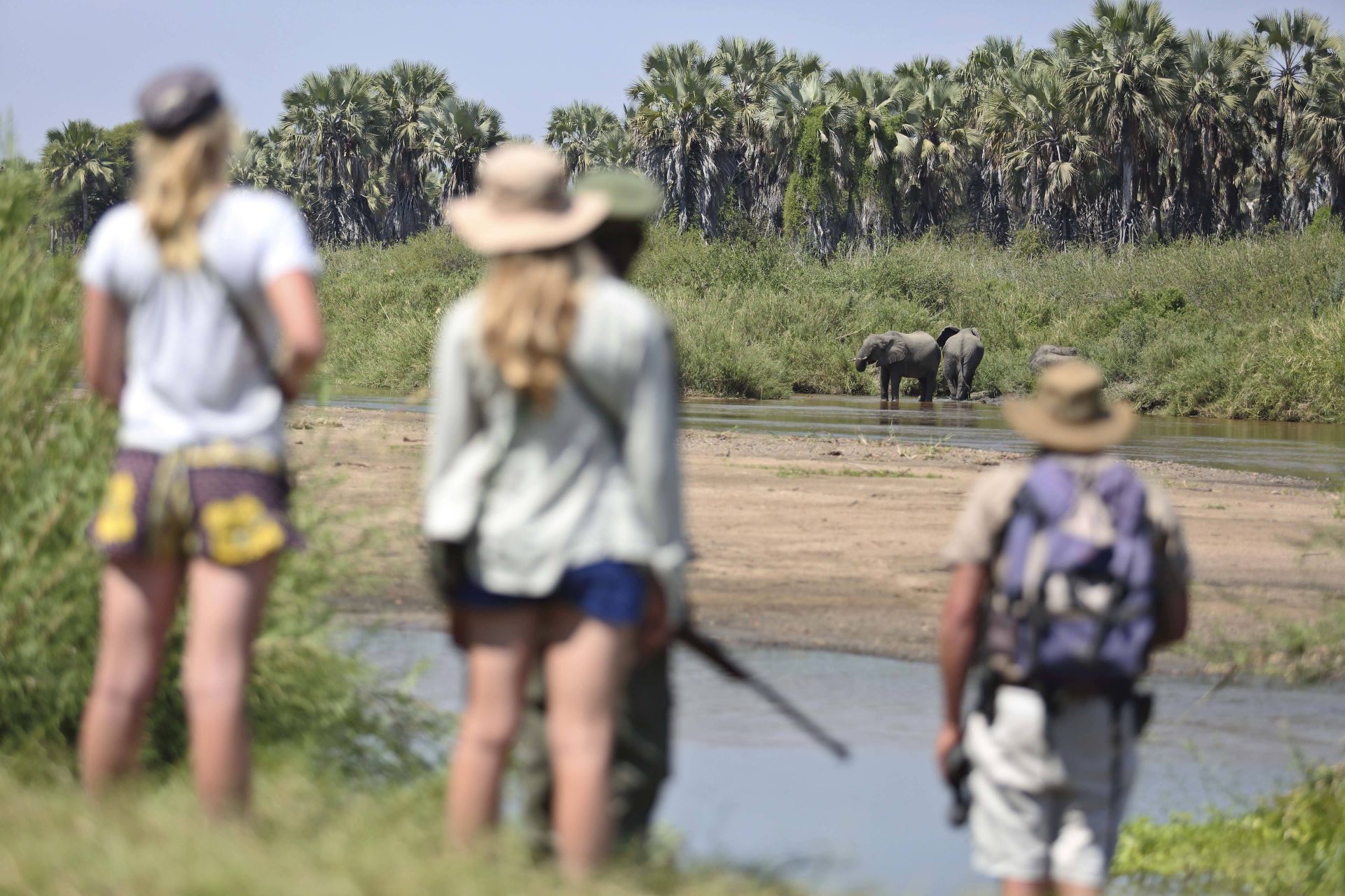 Kichaka Kidogo Flycamping en Ruaha