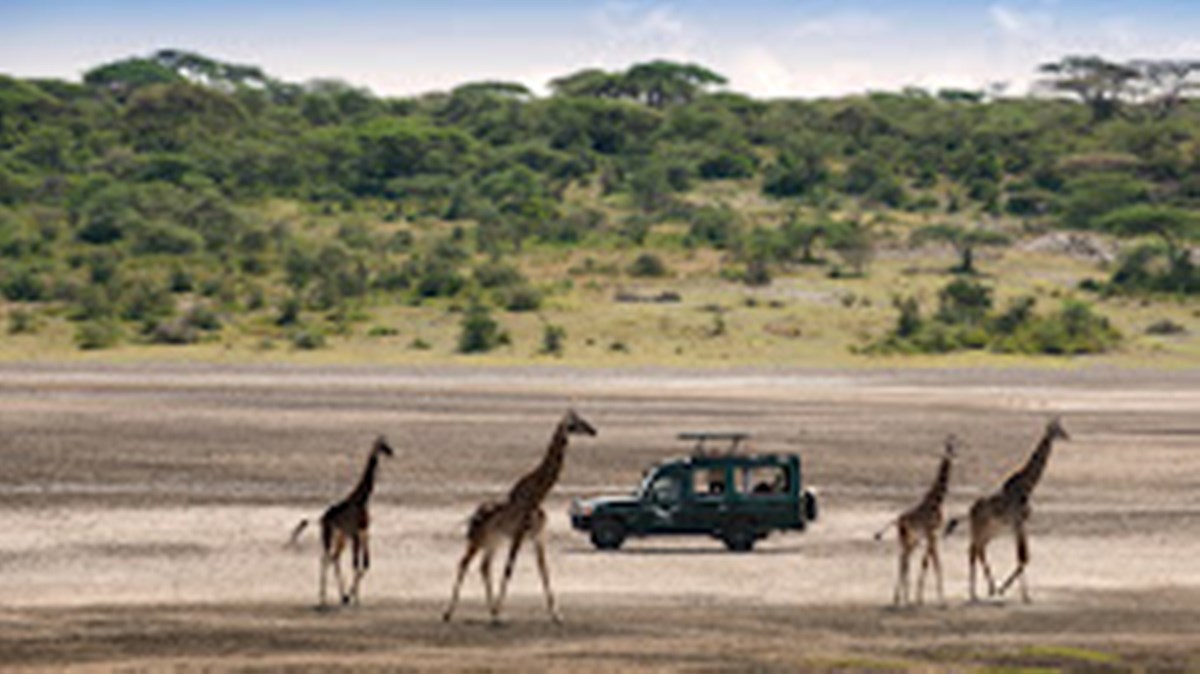 AndBeyond Serengeti Under Canvas en Serengeti