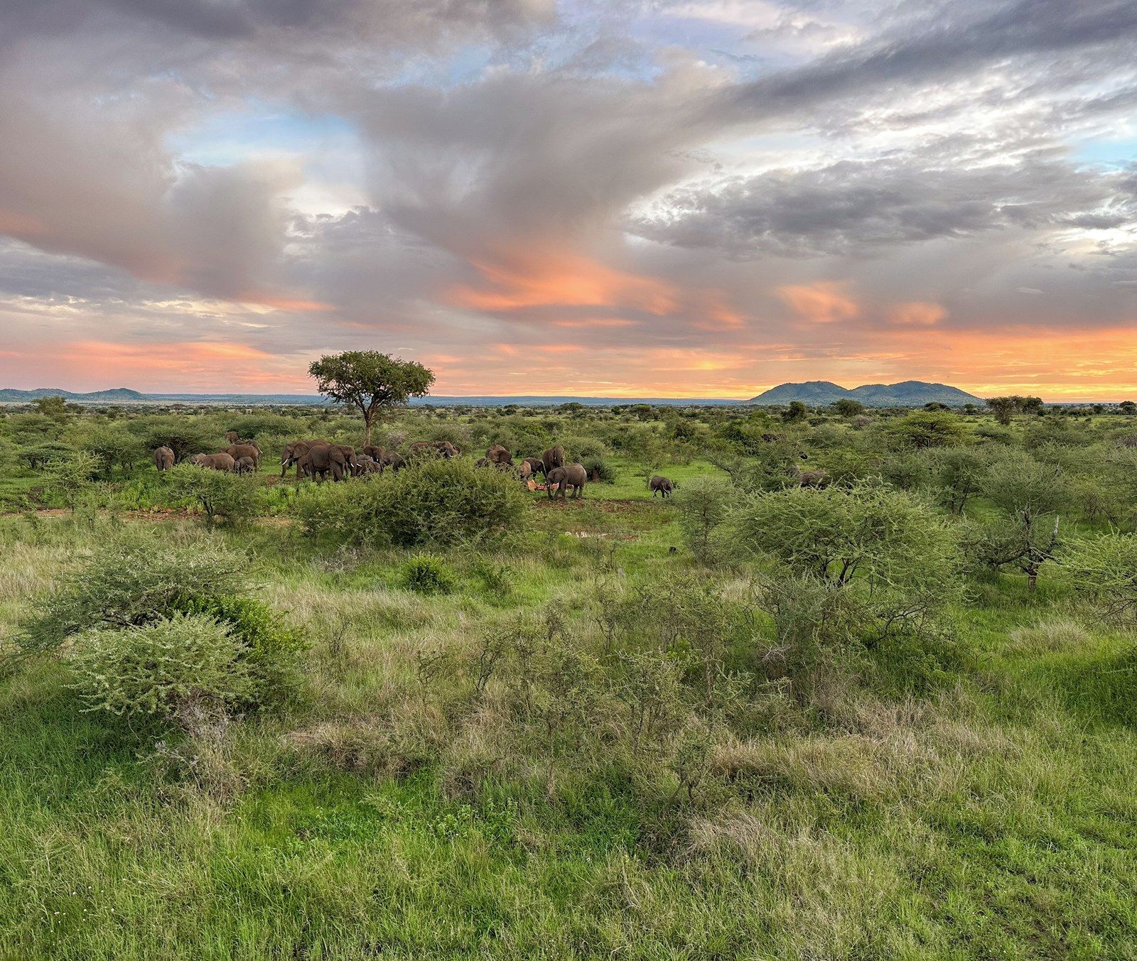 Kuoom Serengeti en Serengeti