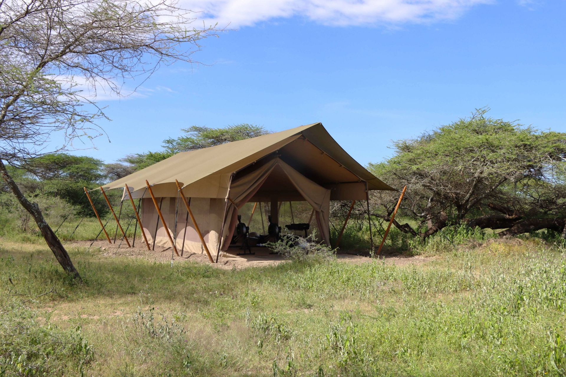 Laba Migration Camp en Serengeti