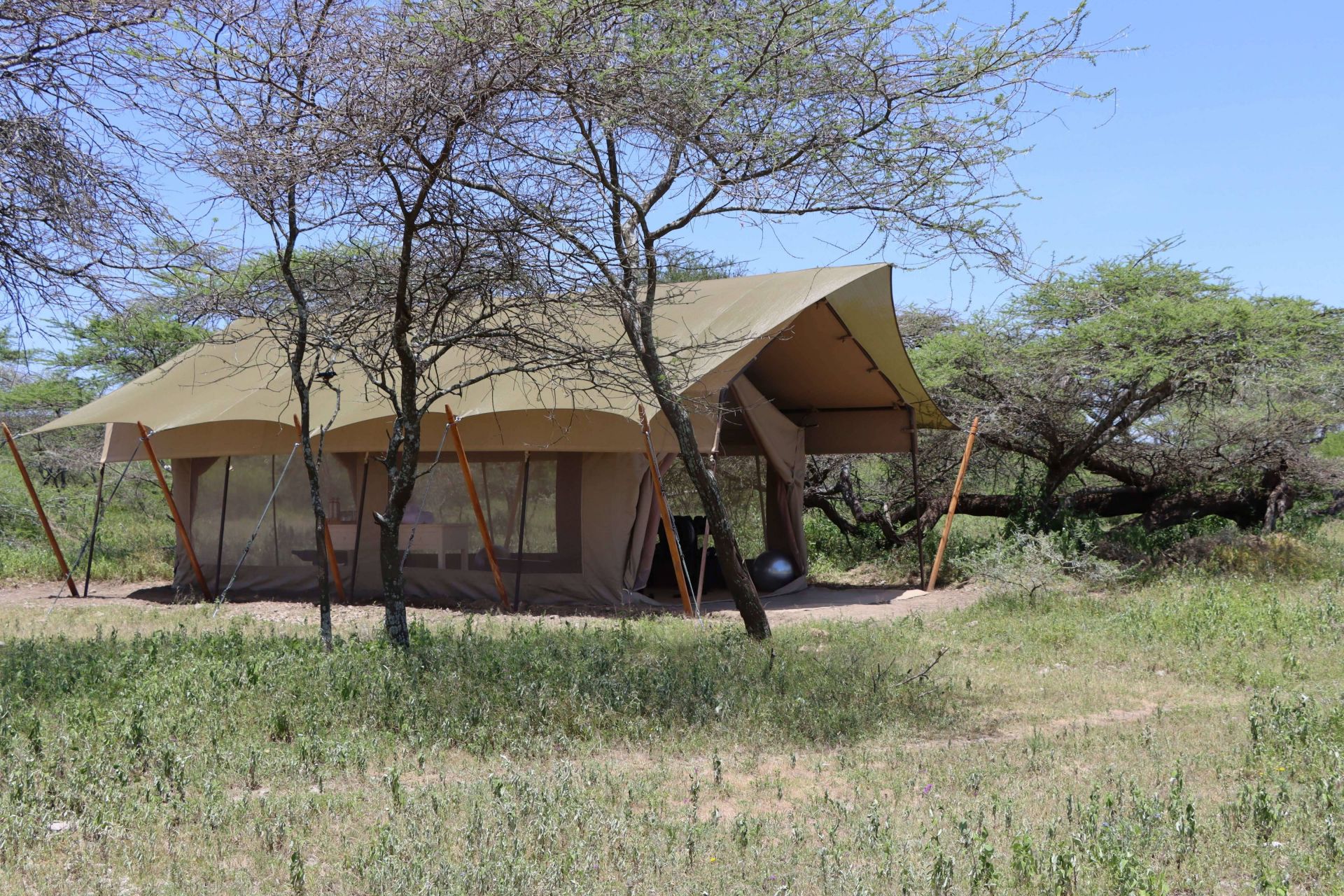 Laba Migration Camp en Serengeti