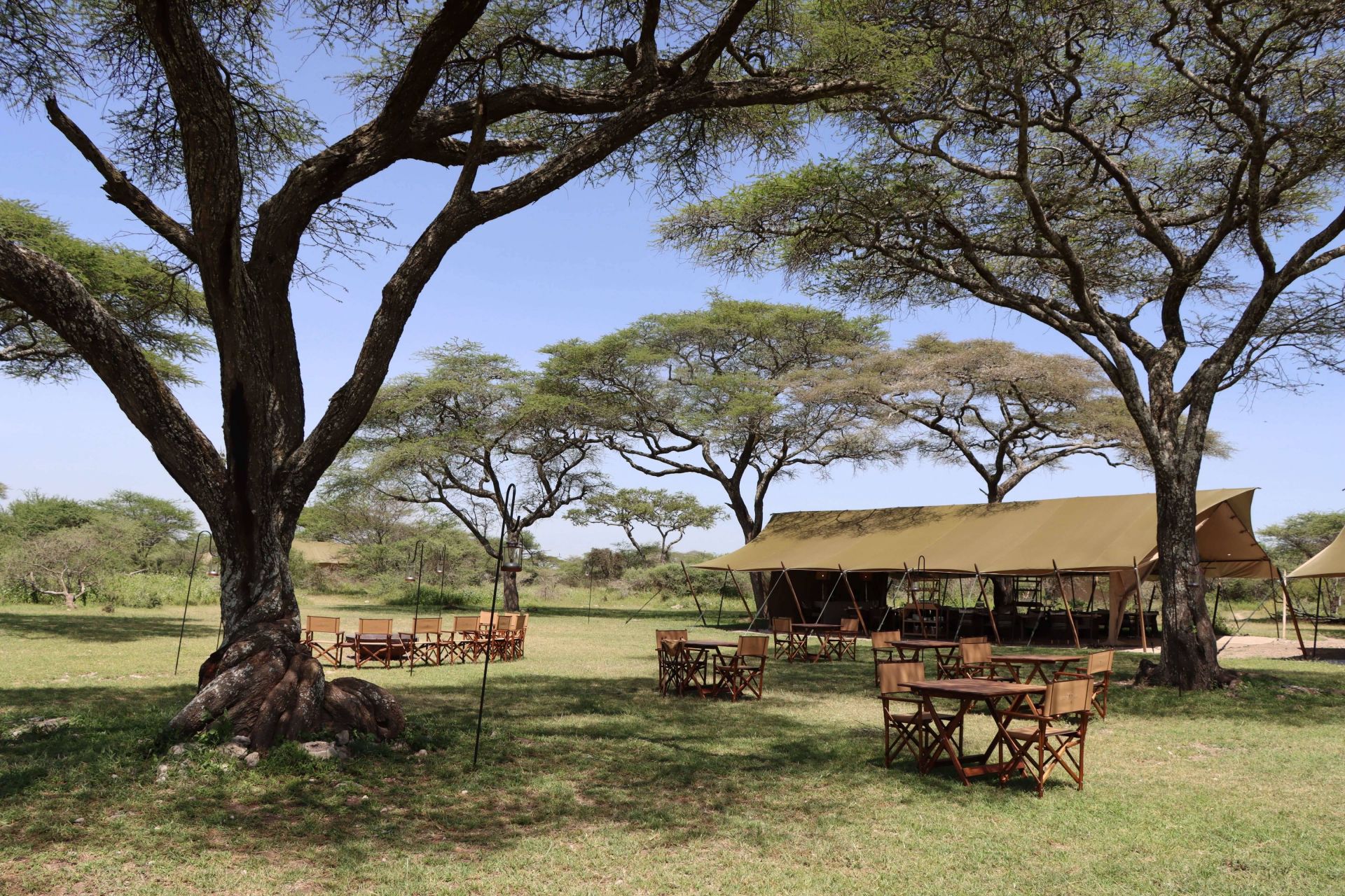 Laba Migration Camp en Serengeti
