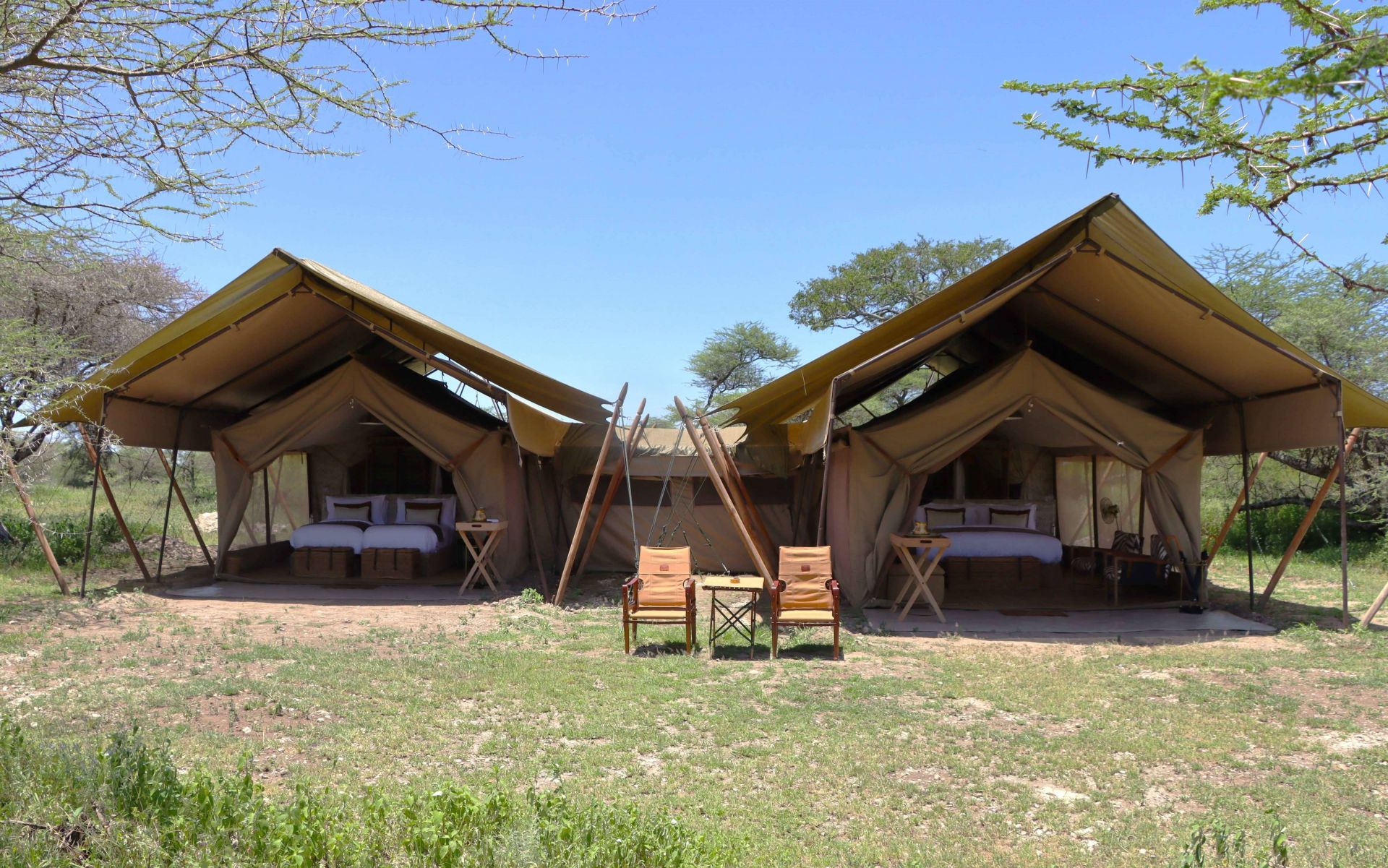 Laba Migration Camp en Serengeti