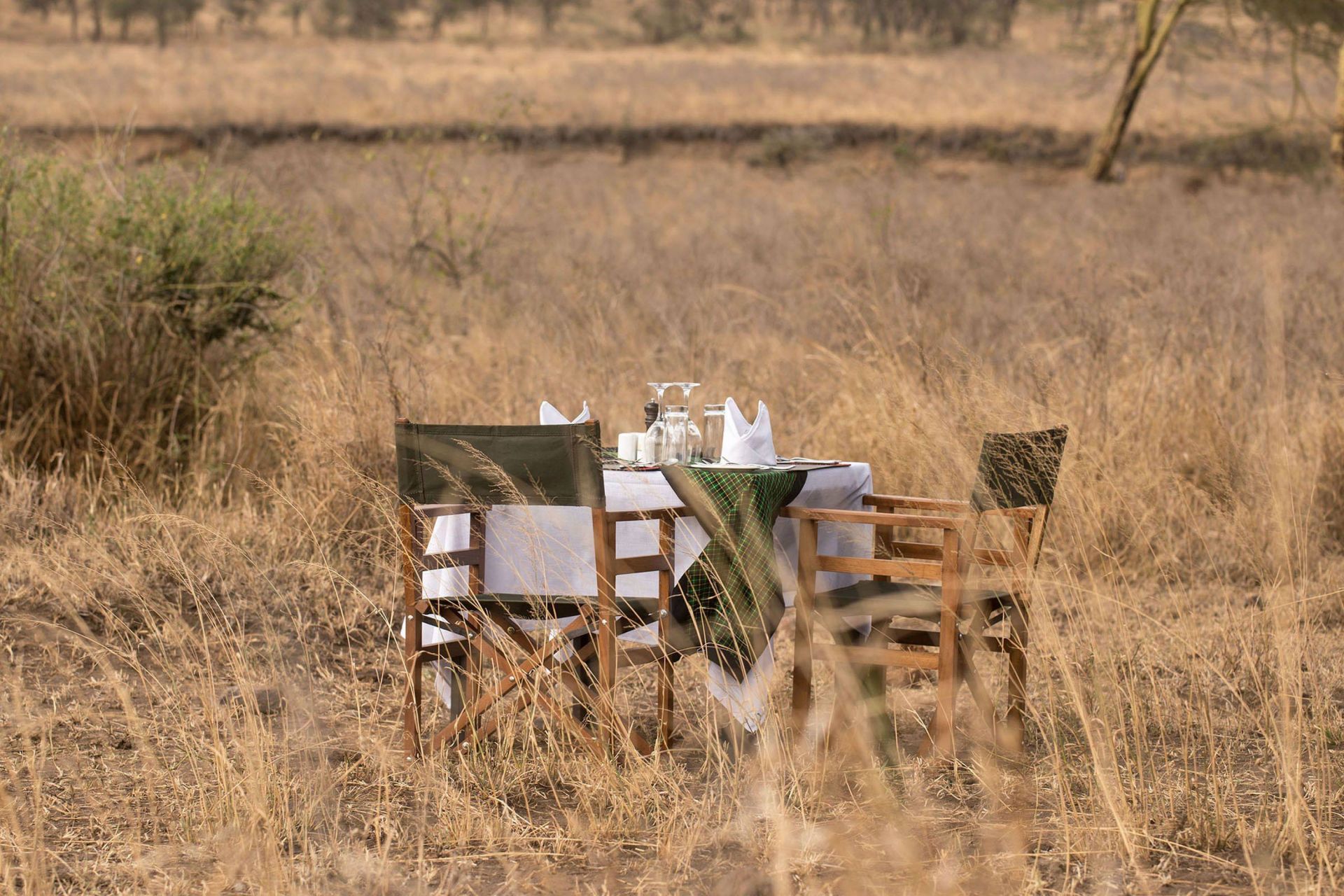 Ole Serai Luxury Camp Moru Kopjes en Serengeti