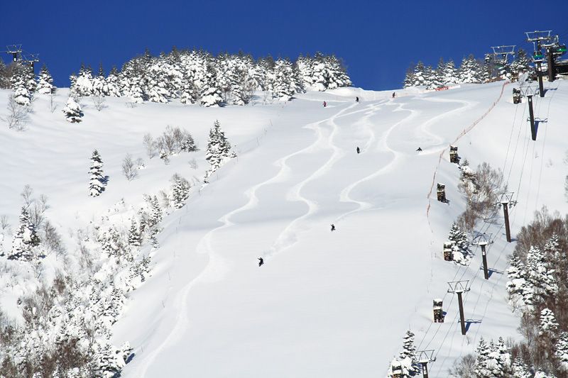 Shiga Kogen Prince Hotel  en Japan