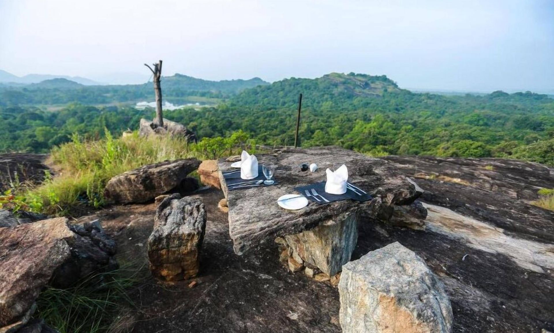 Wild Grass Nature Resort en Sigiriya
