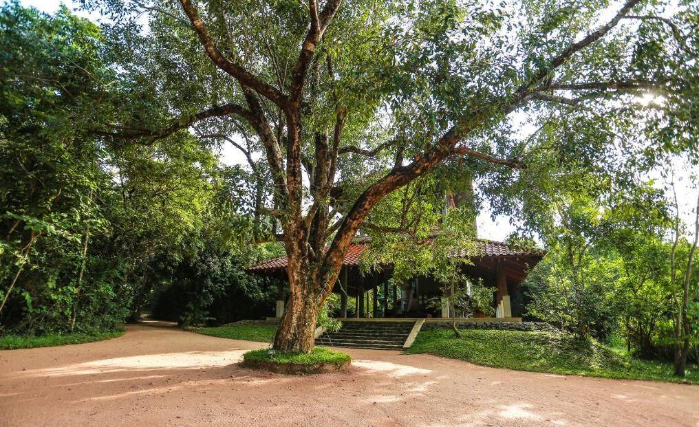 Wild Grass Nature Resort en Sigiriya