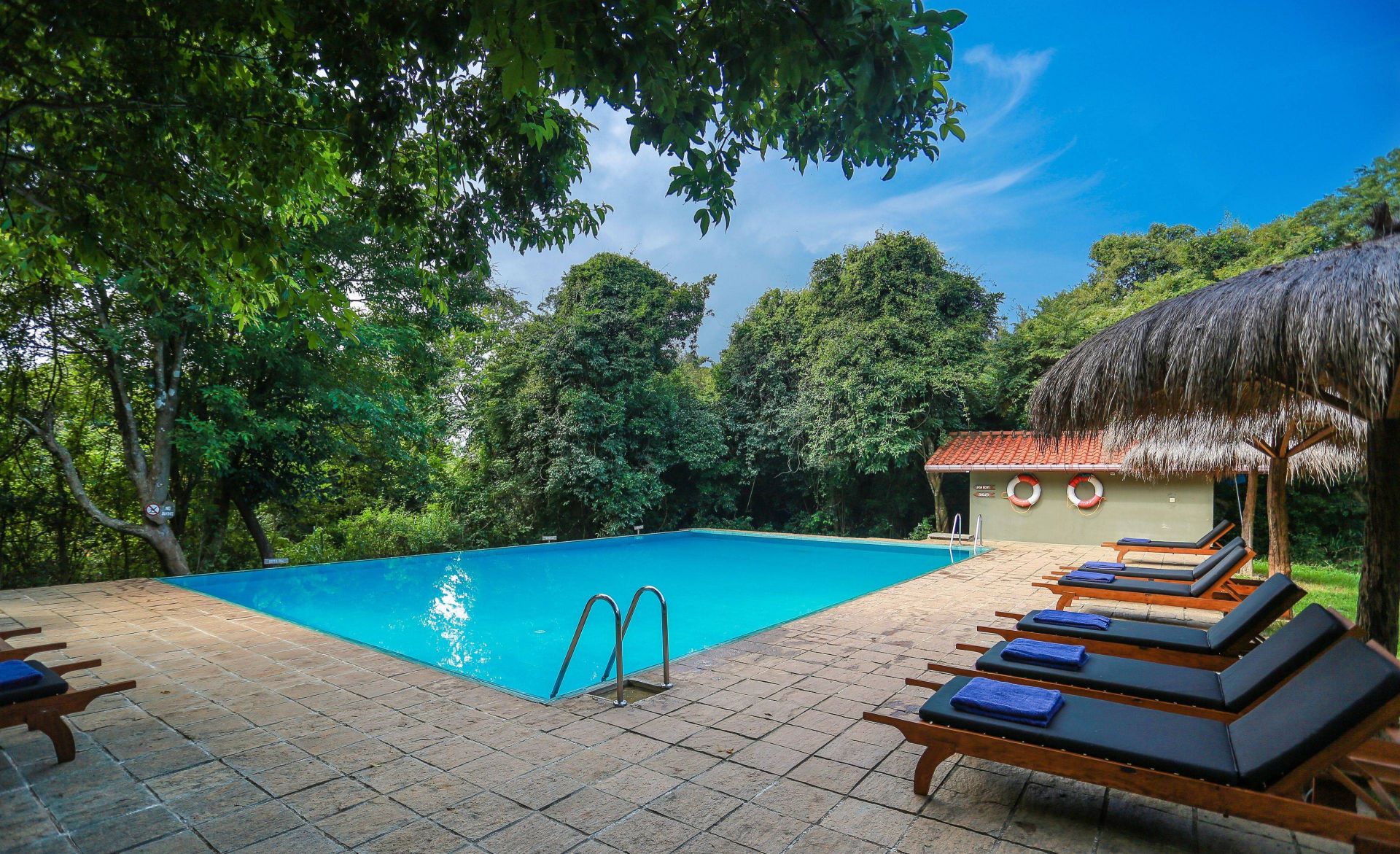 Wild Grass Nature Resort en Sigiriya