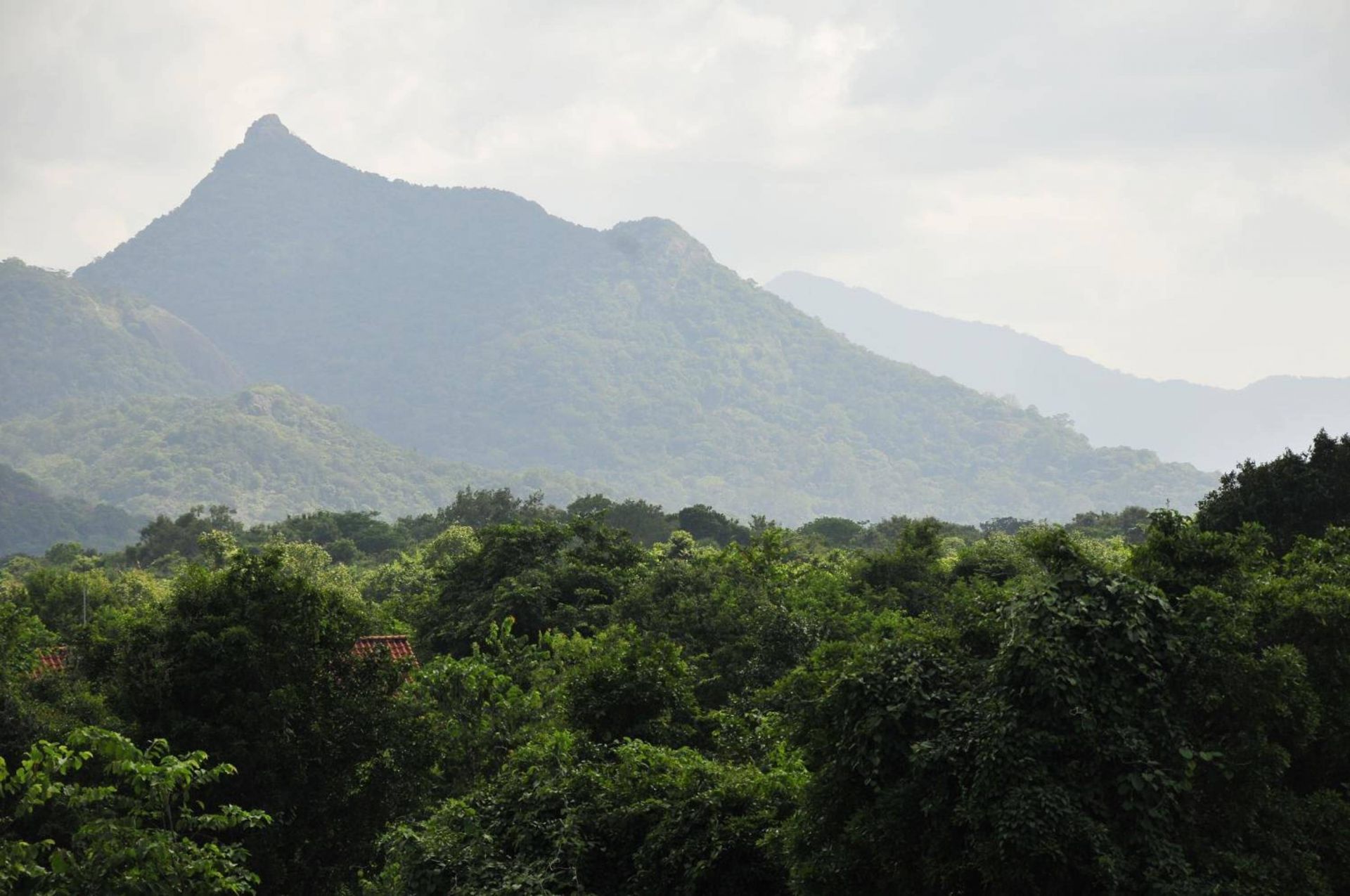 Wild Grass Nature Resort en Sigiriya