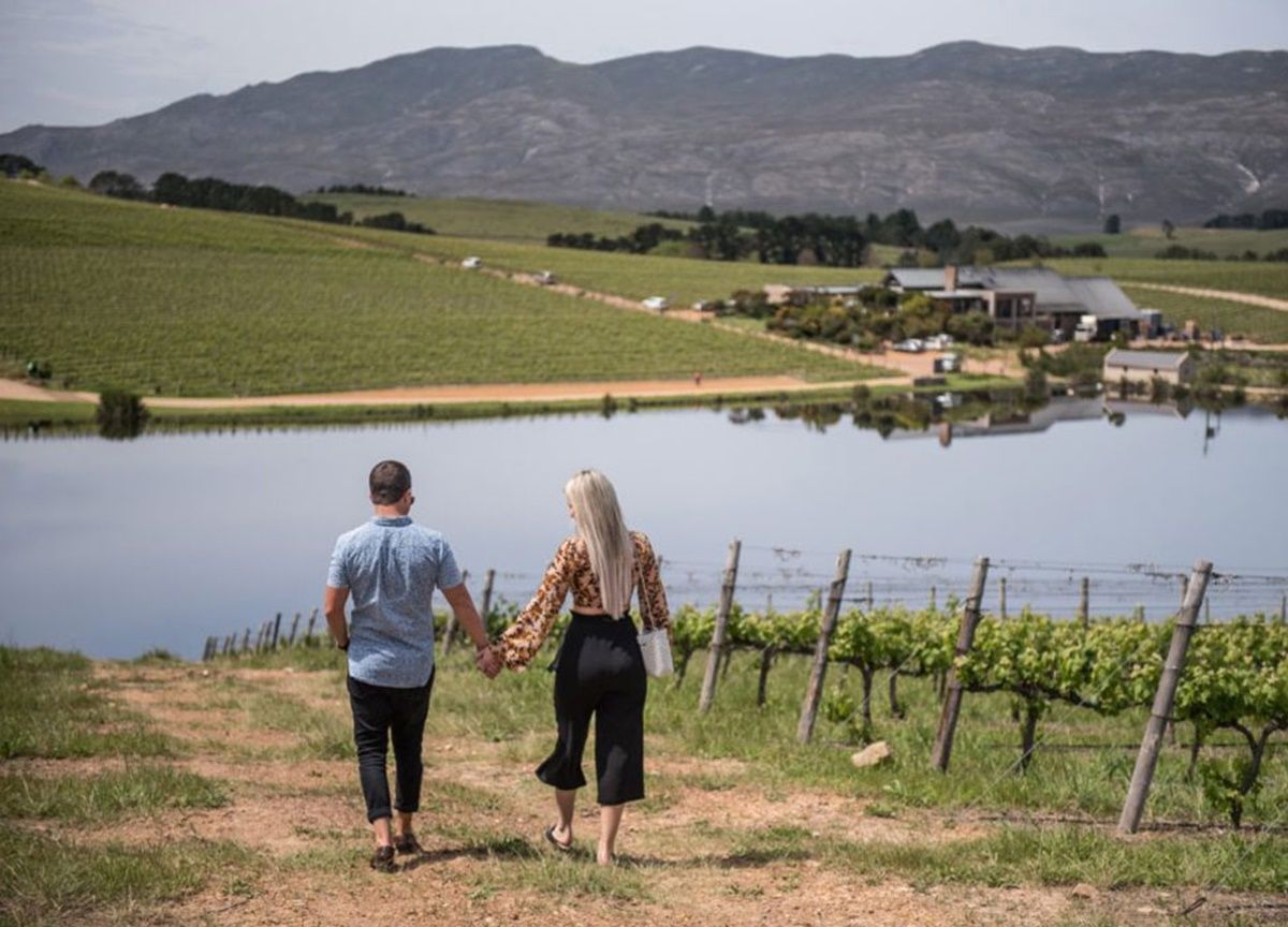 Voormanshuis Creation Wine en South Africa