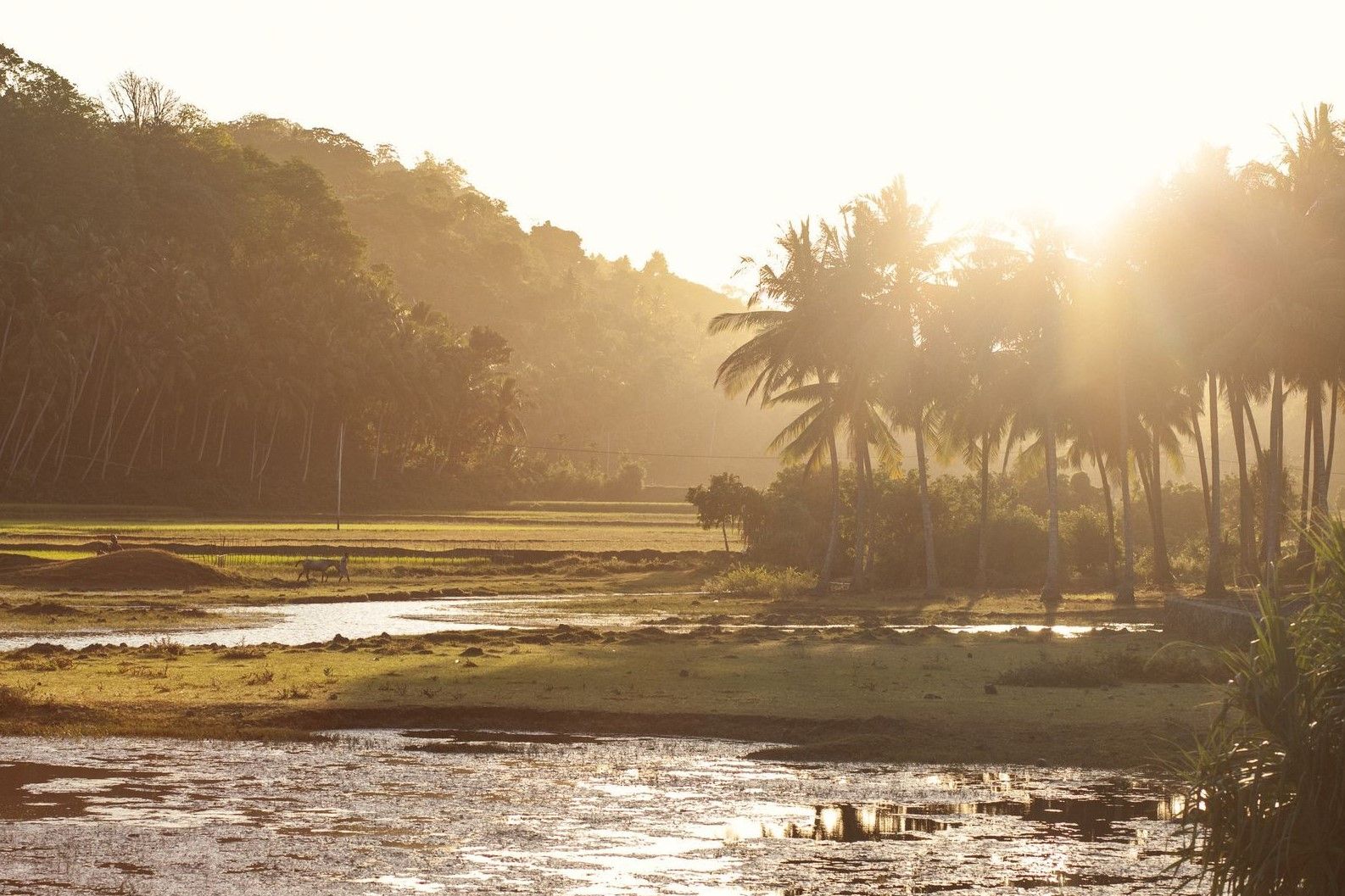 The Sanubari en Sumba Island