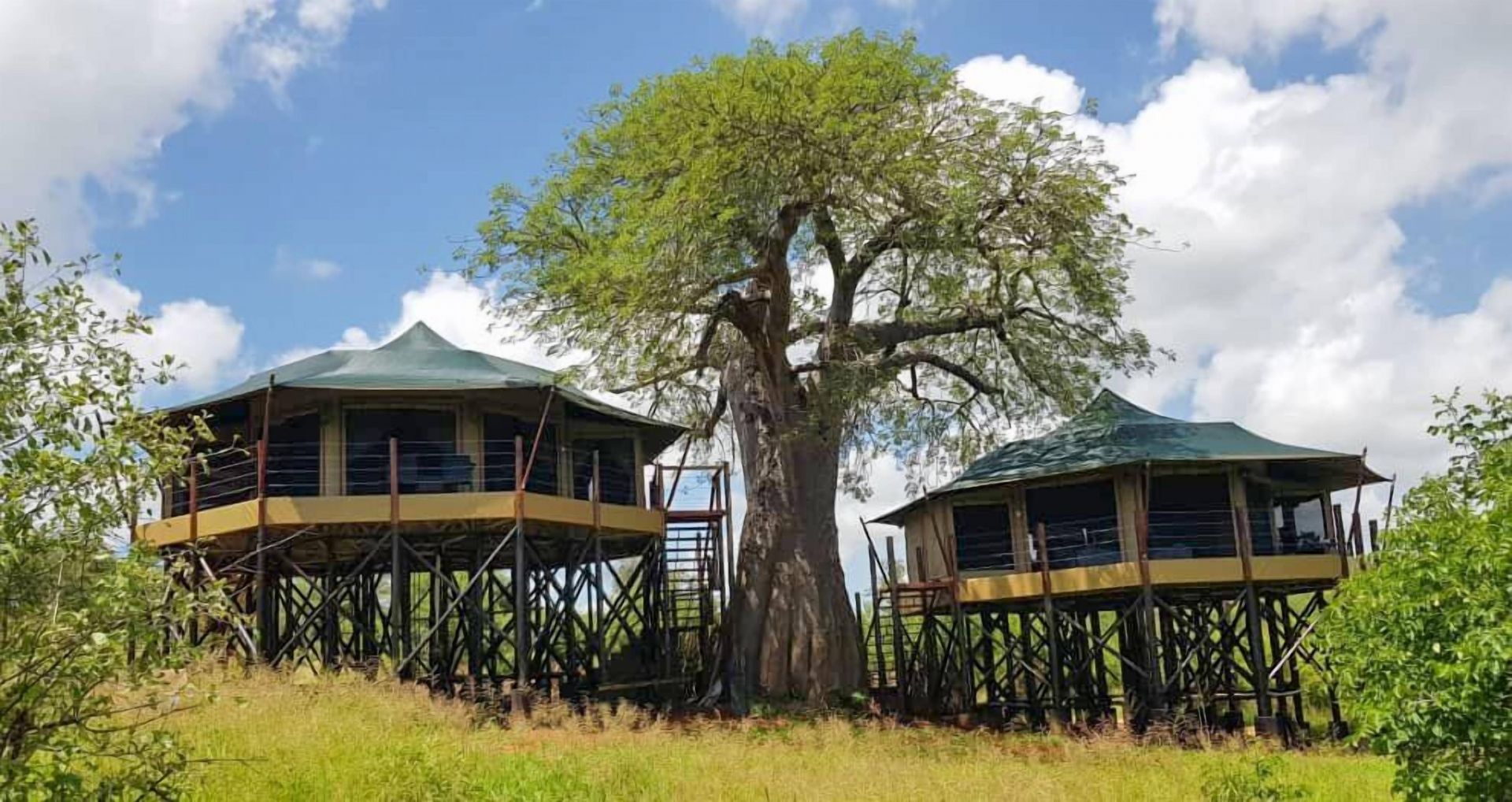 Tarangire Kuro Treetops Lodge en Tarangire