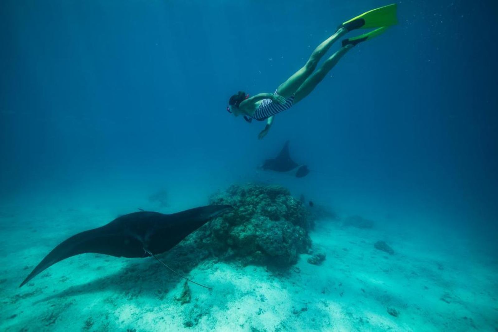 Fafarua Private Island & Lodge en Tikehau