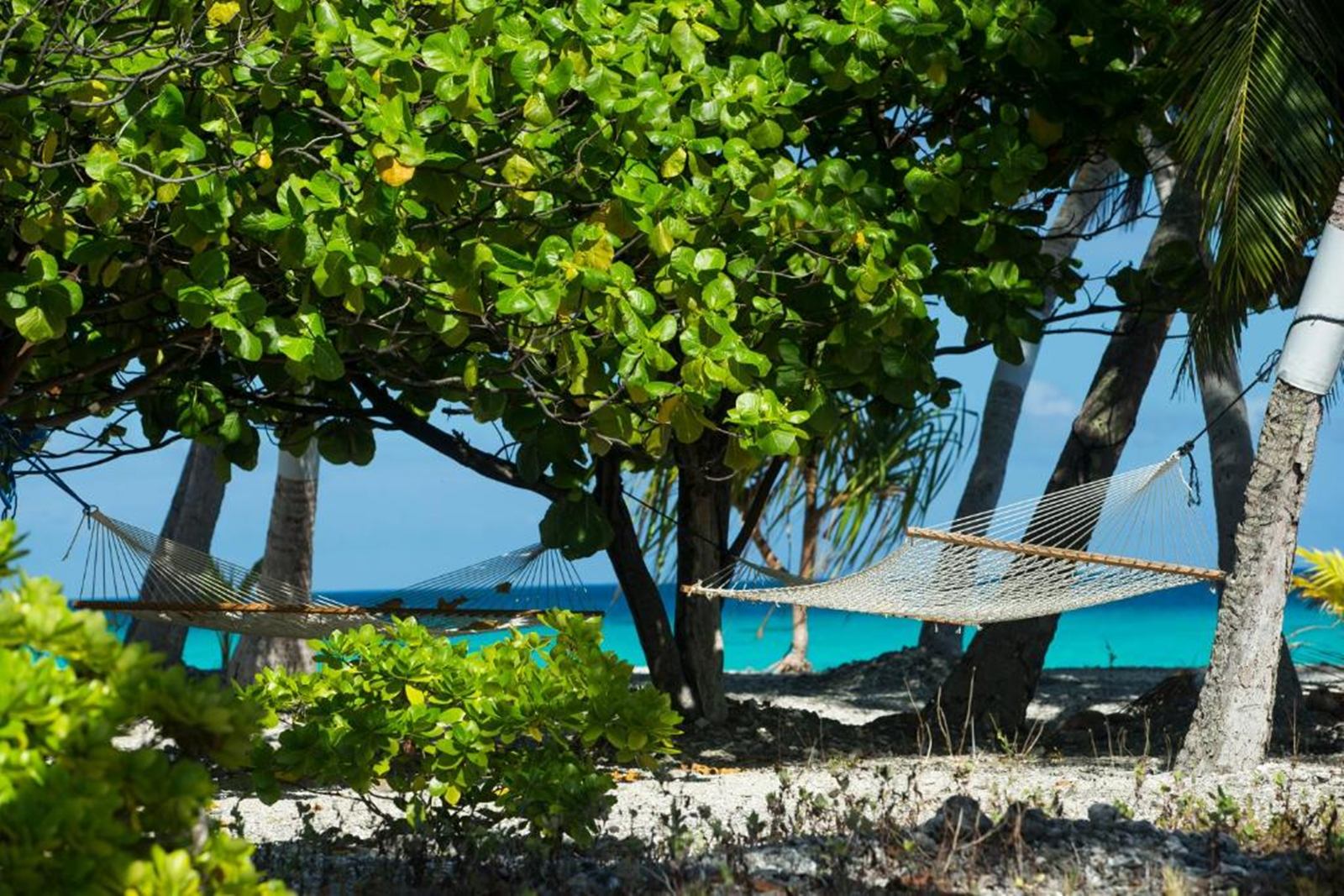 Fafarua Private Island & Lodge en Tikehau