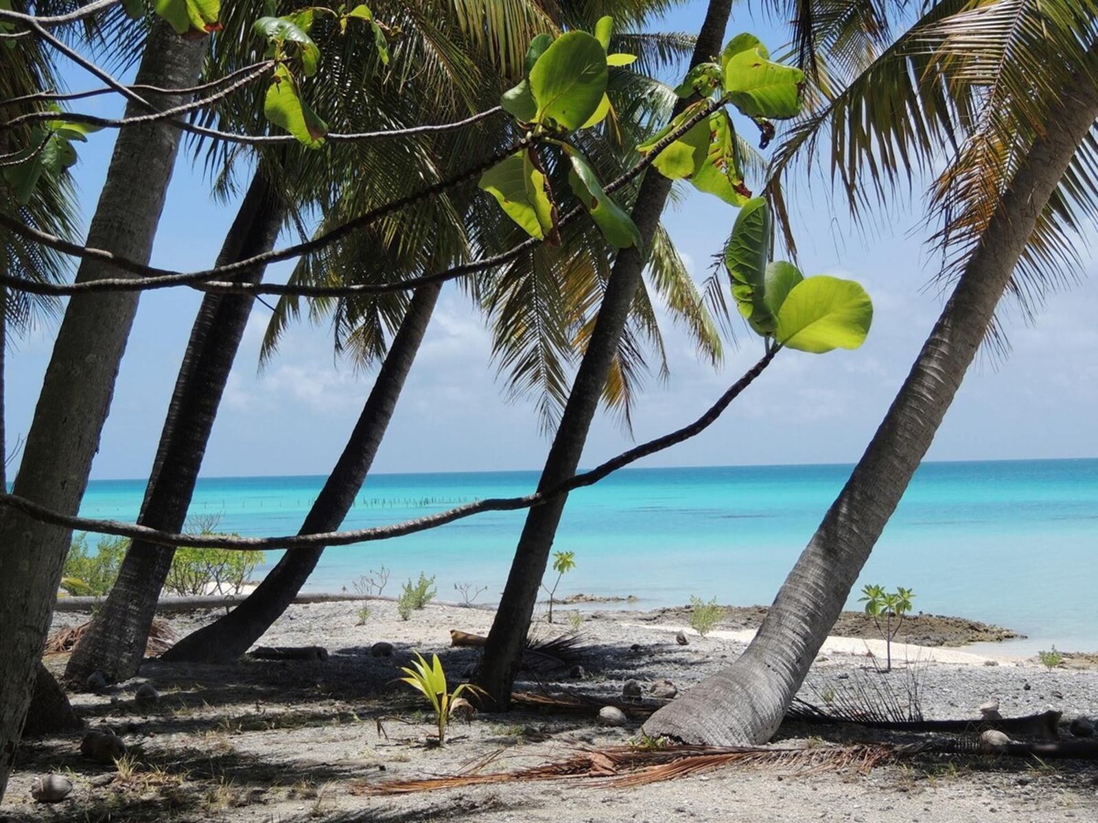 Fafarua Private Island & Lodge en Tikehau