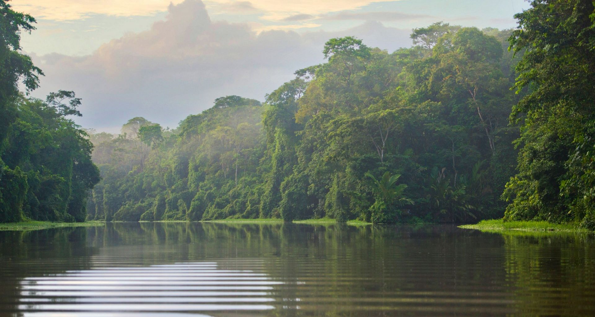 Tortuga Lodge and Gardens by Böëna en Tortuguero