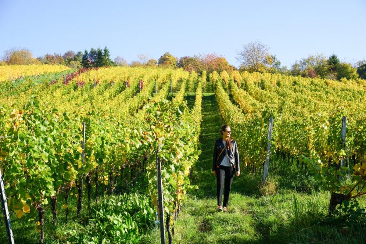Locanda Dei Logi en Toscana