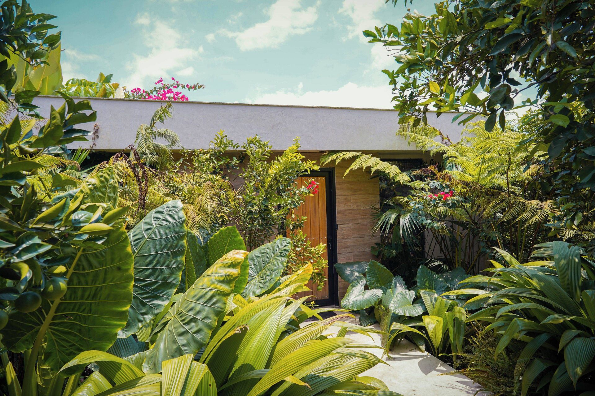 Amanatu Ecolodge & Spa en Valle de Cocora