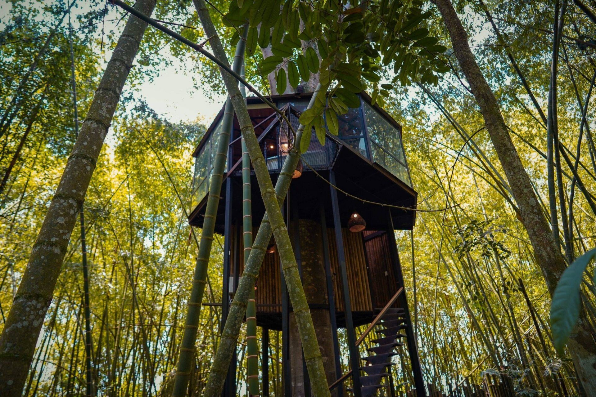 Amanatu Ecolodge & Spa en Valle de Cocora