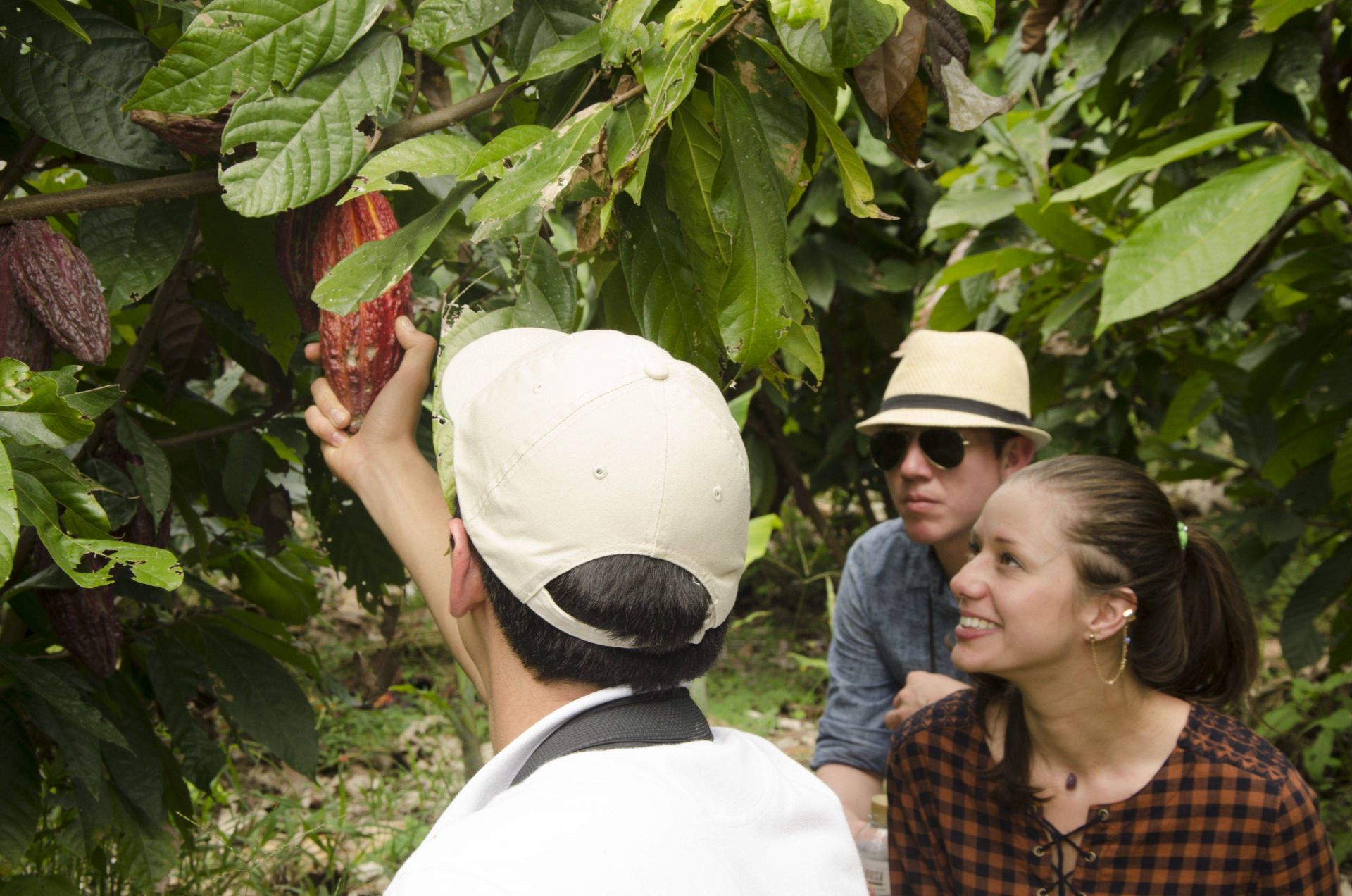 Hacienda Bambusa en Valle de Cocora
