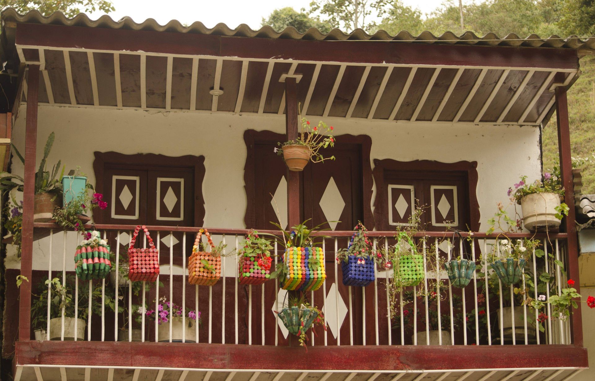 Hacienda Bambusa en Valle de Cocora