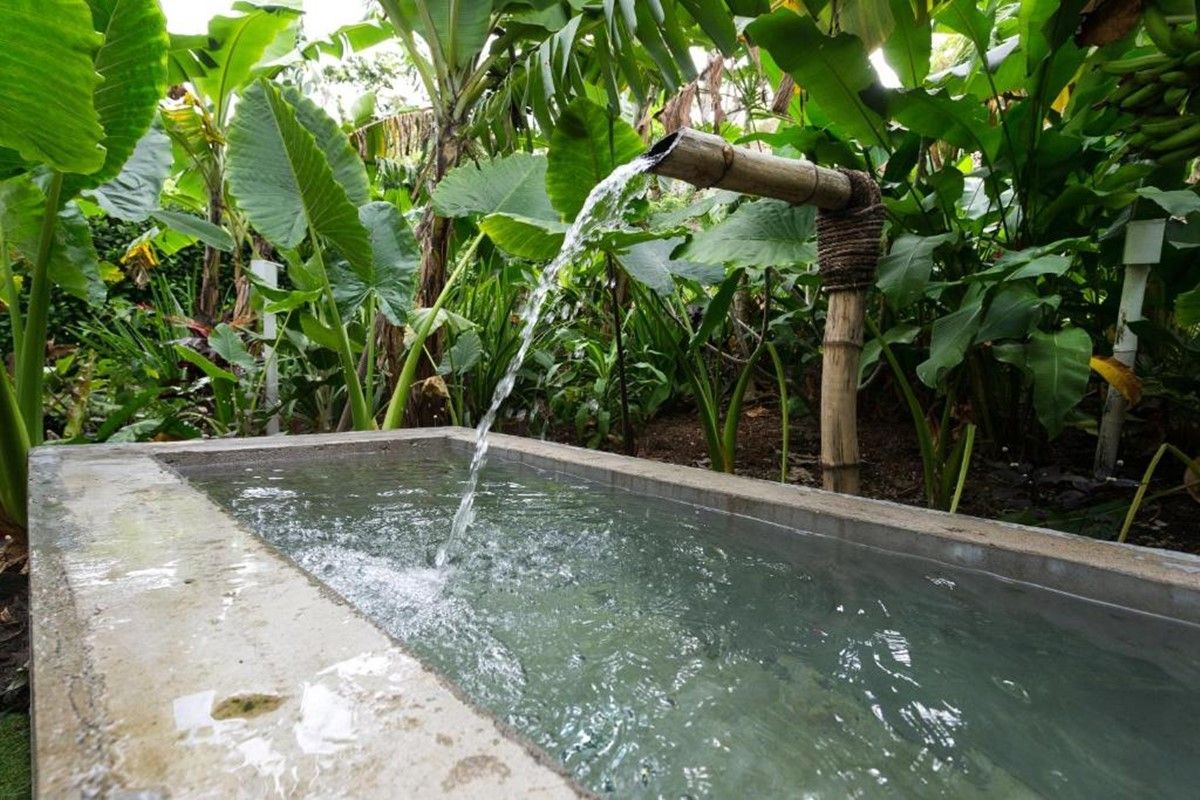 The Moso Vanuatu en Vanuatu