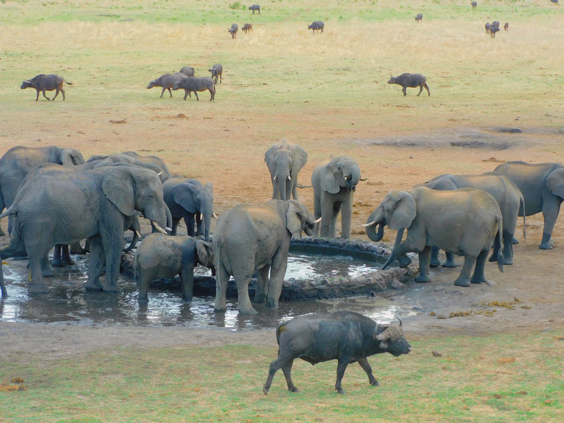 The Wallow Lodge en Victoria Falls